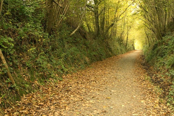otoño-navarra-turismo