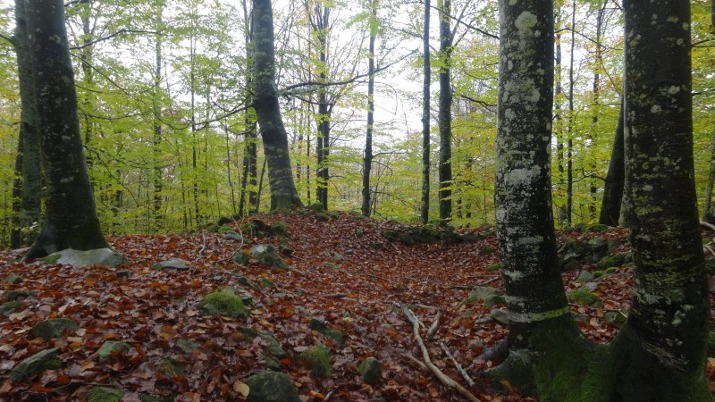 ruta-dolmenes-navarra