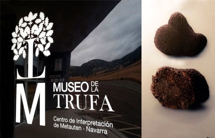 museo-de-la-trufa-de-metauten.-tierra-estella.-navarra